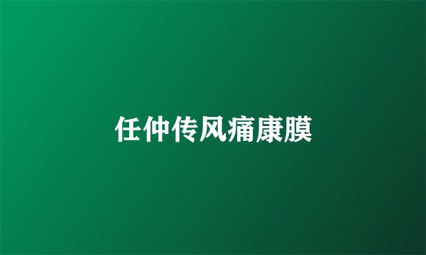 任仲传风痛康膜