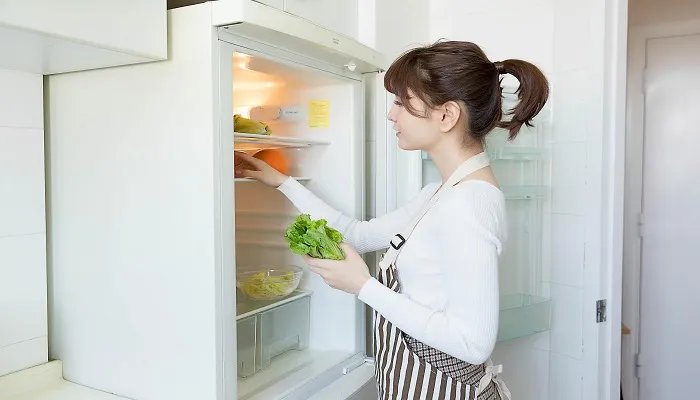 变频冰箱十大品牌排行榜 冰箱排名前十品牌