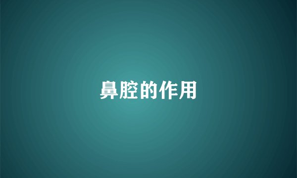 鼻腔的作用