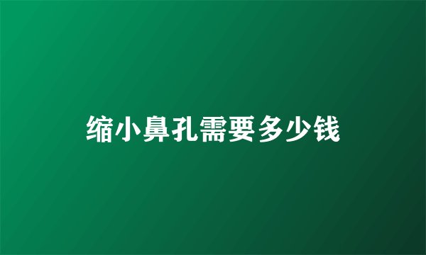 缩小鼻孔需要多少钱