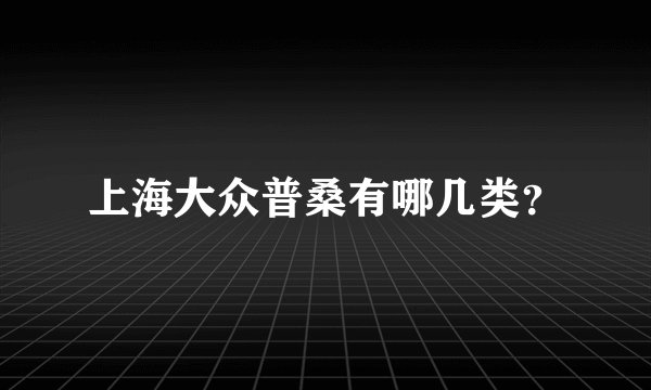 上海大众普桑有哪几类？