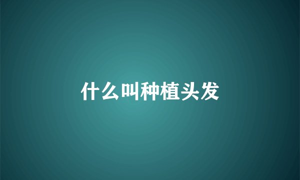 什么叫种植头发