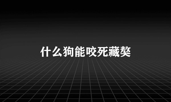 什么狗能咬死藏獒
