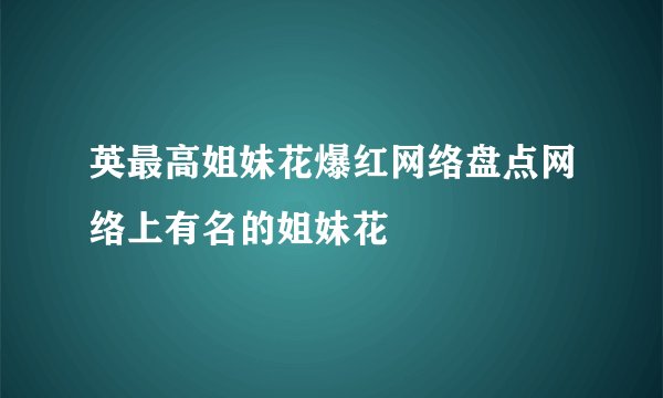 英最高姐妹花爆红网络盘点网络上有名的姐妹花