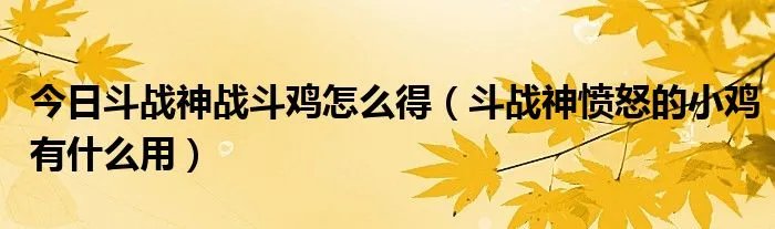 今日斗战神战斗鸡怎么得（斗战神愤怒的小鸡有什么用）