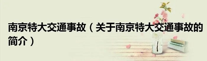 南京特大交通事故(关于南京特大交通事故的简介)