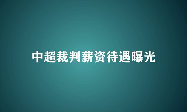 中超裁判薪资待遇曝光
