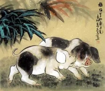 71年属猪48岁命运,1971年属猪是什么命 1971年出生人的命运