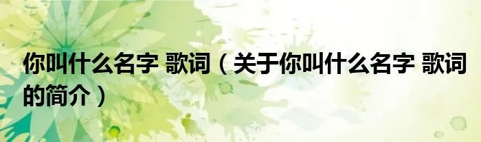 你叫什么名字 歌词（关于你叫什么名字 歌词的简介）