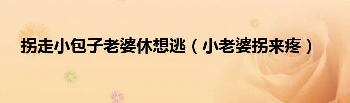 拐走小包子老婆休想逃（小老婆拐来疼）