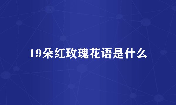 19朵红玫瑰花语是什么