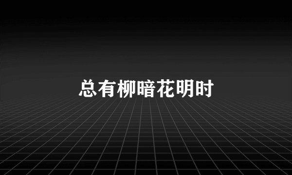 总有柳暗花明时