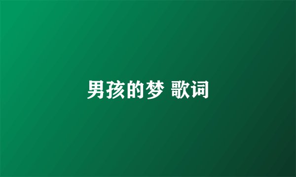 男孩的梦 歌词
