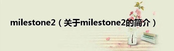 milestone2(关于milestone2的简介)