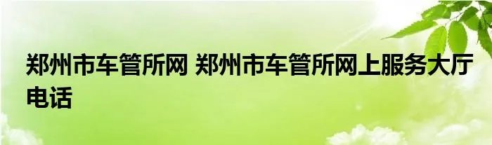 郑州市车管所网 郑州市车管所网上服务大厅电话