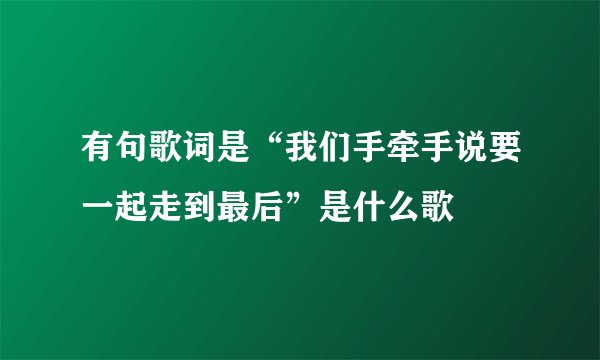 有句歌词是“我们手牵手说要一起走到最后”是什么歌