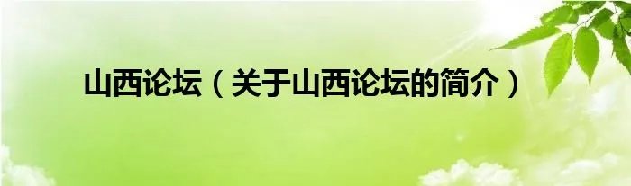 山西论坛（关于山西论坛的简介）