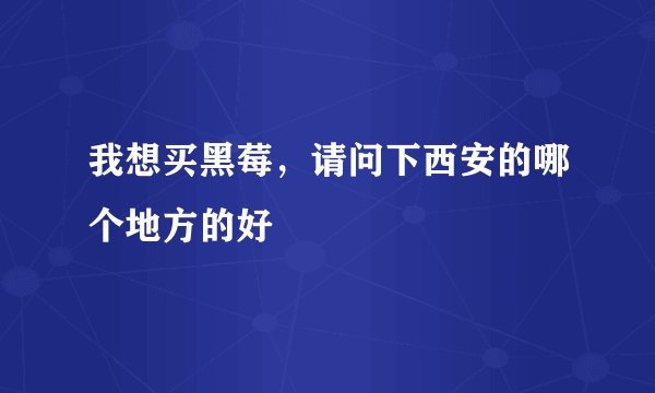 我想买黑莓，请问下西安的哪个地方的好