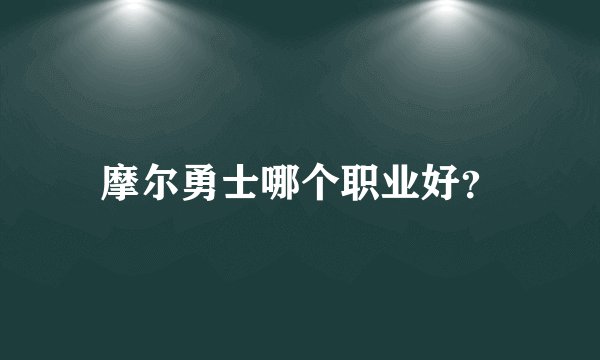 摩尔勇士哪个职业好？