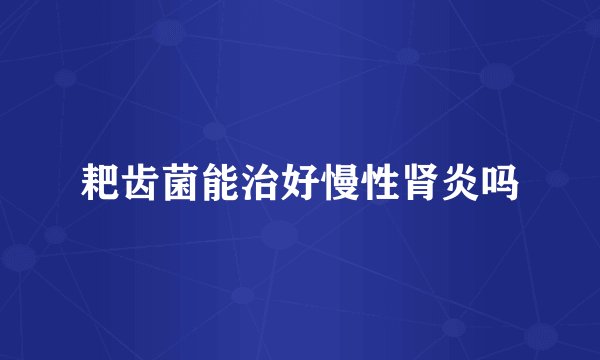 耙齿菌能治好慢性肾炎吗