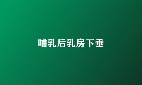 哺乳后乳房下垂