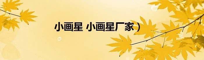 小画星 小画星厂家）