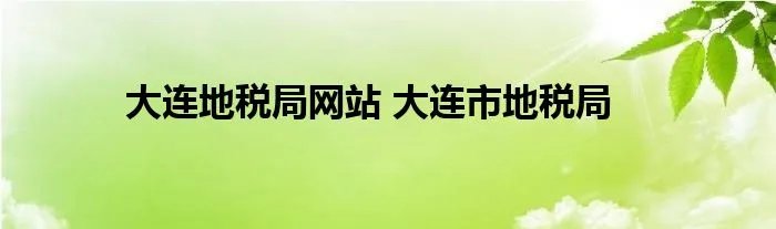 大连地税局网站 大连市地税局