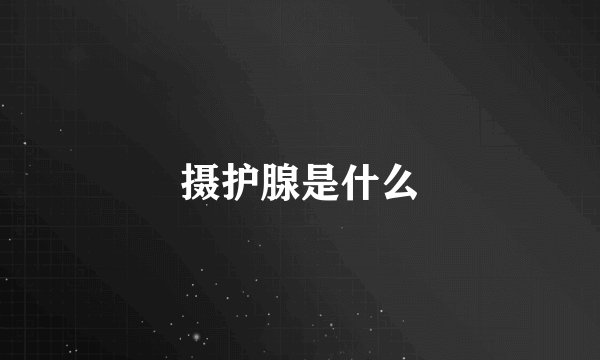 摄护腺是什么