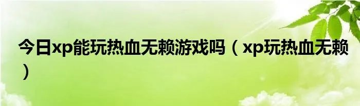 今日xp能玩热血无赖游戏吗（xp玩热血无赖）