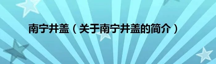 南宁井盖(关于南宁井盖的简介)