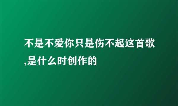 不是不爱你只是伤不起这首歌,是什么时创作的