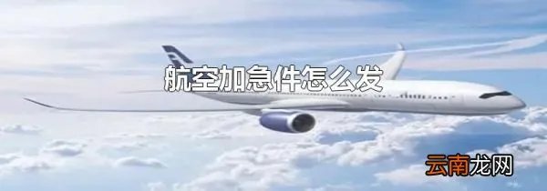 航空加急件怎么发