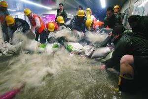 郑州暴雨地铁倒灌,12人死亡,这场大暴雨为何会来的如此猛烈?