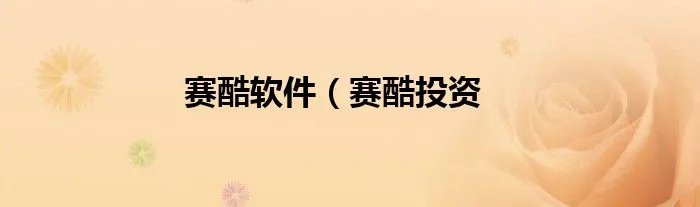 赛酷软件（赛酷投资