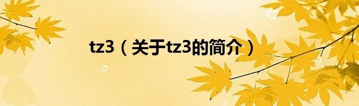 tz3（关于tz3的简介）