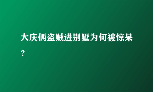 大庆俩盗贼进别墅为何被惊呆？
