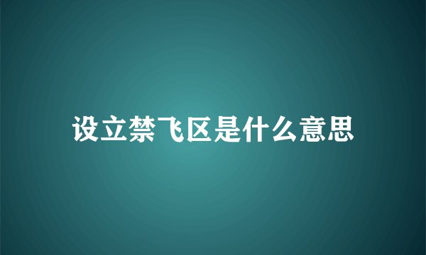 设立禁飞区是什么意思
