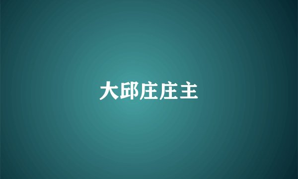 大邱庄庄主