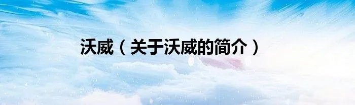 沃威（关于沃威的简介）