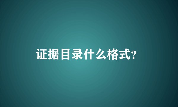 证据目录什么格式？