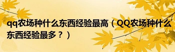 qq农场种什么东西经验最高(QQ农场种什么东西经验最多?)