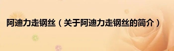 阿迪力走钢丝（关于阿迪力走钢丝的简介）