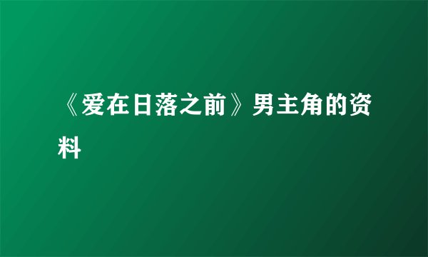 《爱在日落之前》男主角的资料