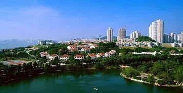 东北地区人口占比下降,这些人大多都移到了别的城市吗?