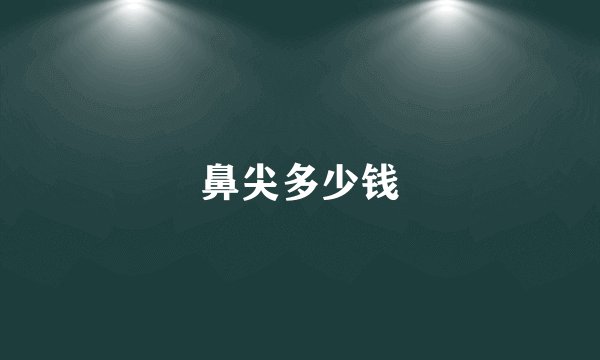 鼻尖多少钱