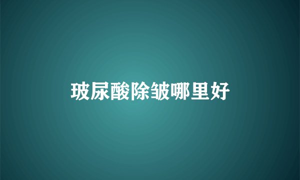 玻尿酸除皱哪里好