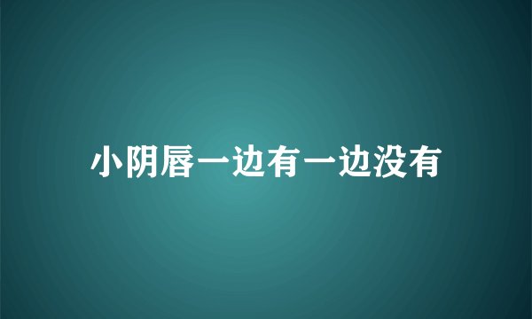小阴唇一边有一边没有