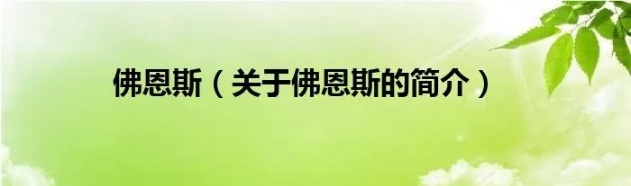 佛恩斯（关于佛恩斯的简介）