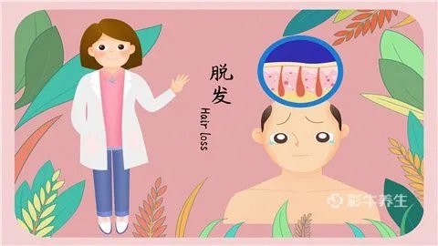 秃顶可以植发吗