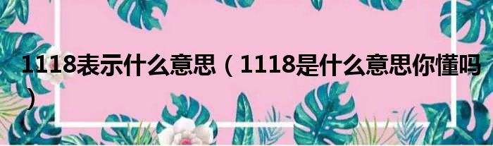 1118表示什么意思（1118是什么意思你懂吗）